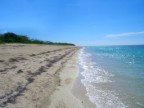 Cuban Beach